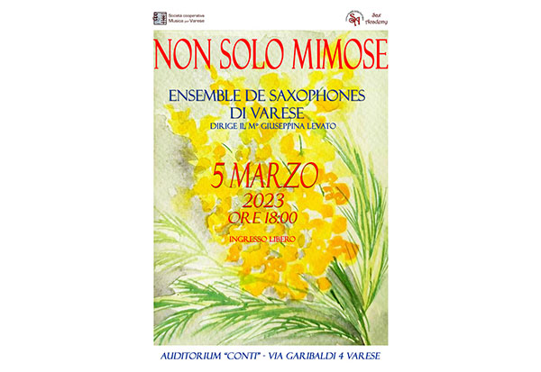 Non-Solo-Mimose-2023