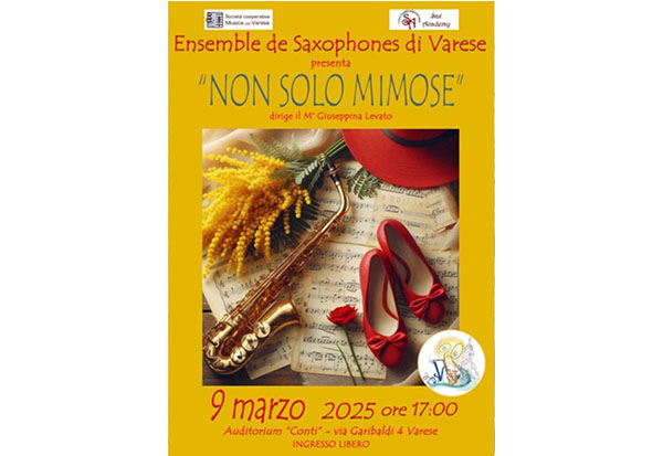 01 Mimose 25
