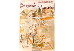 Uno-sguardo-nel-cammino
